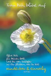 Bild 01